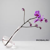 Rokos - Gauge Vase 22