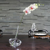 Rokos - Gauge Vase 22