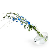 Rokos - Clear Gauge Vase